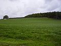 Badbury Hill from the West