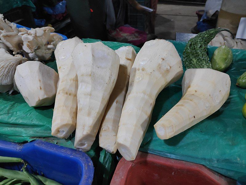 File:Bamboo Shoot.jpg