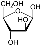 File:Beta-D-Arabinofuranose.svg