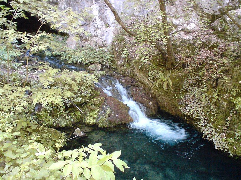 File:Degurić cave stream.JPG