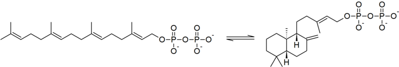 File:Ent-CDP synthase reaction.png