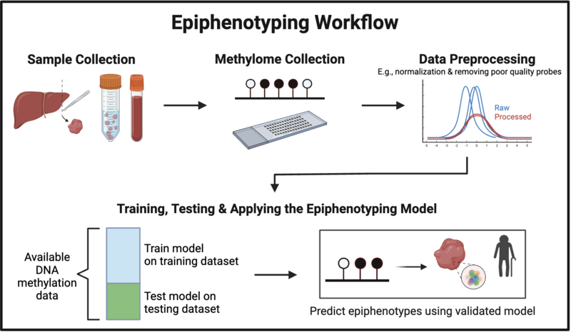 File:Epiphenotyping.png