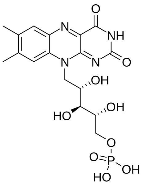 File:Flavin mononucleotide v2.svg