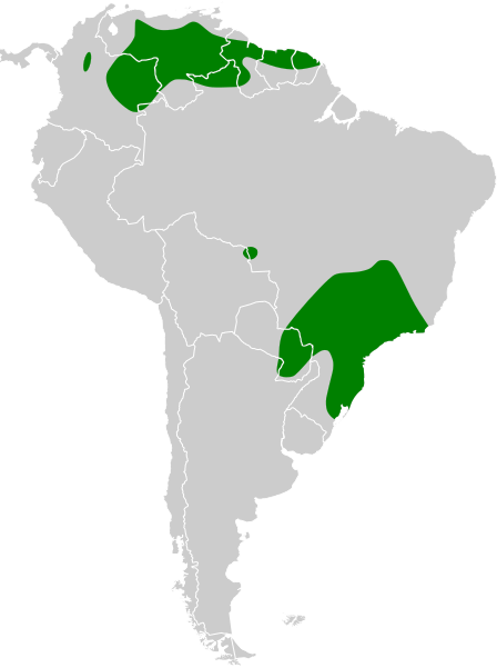 File:Gallinago undulata map.svg