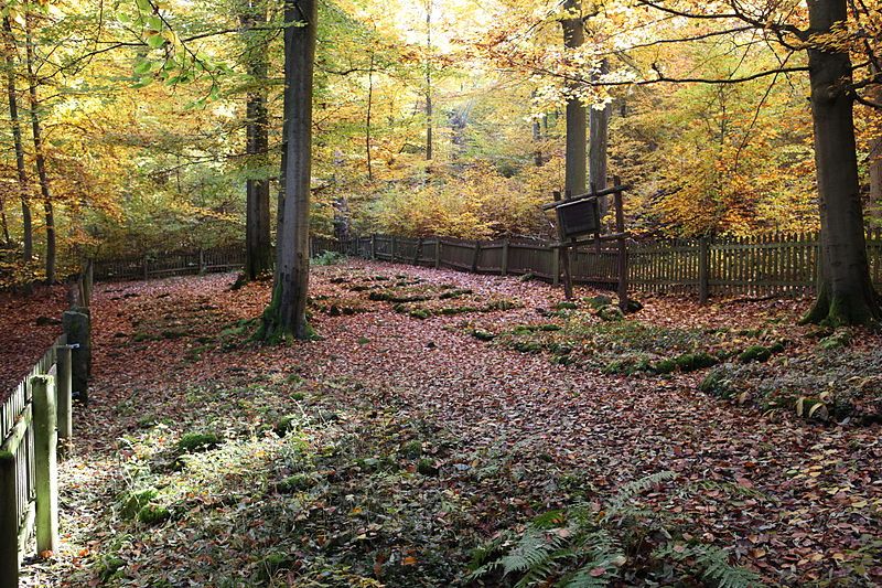 File:Großer-Gleichberg-Oberer-Friedhof.jpg