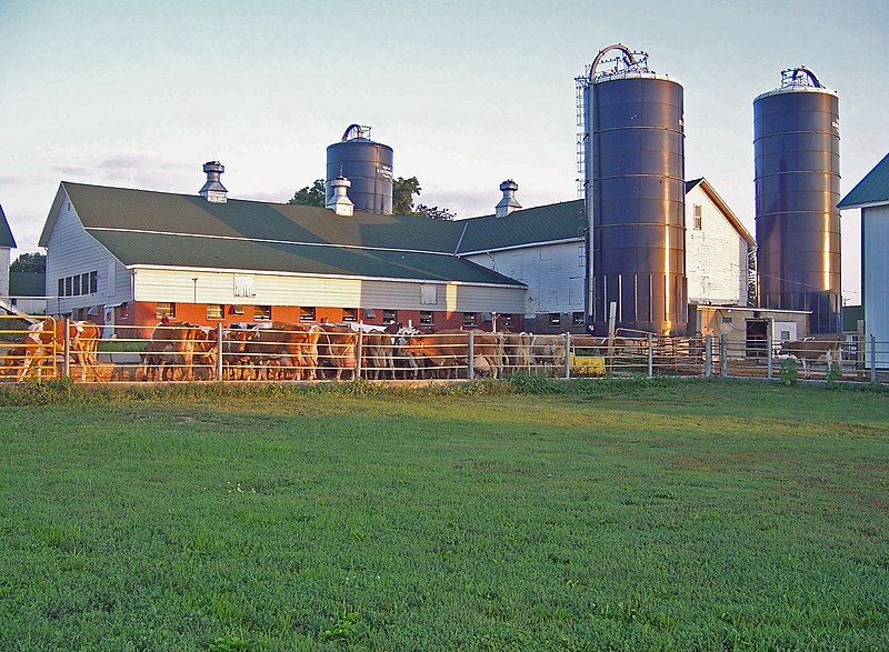 File:Hoards old barn.jpg