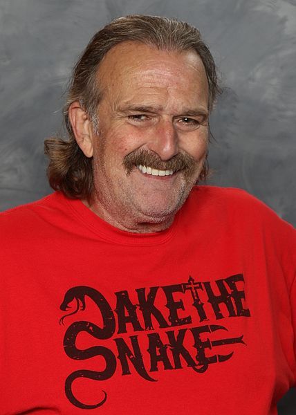 File:Jake Roberts 2017.jpg