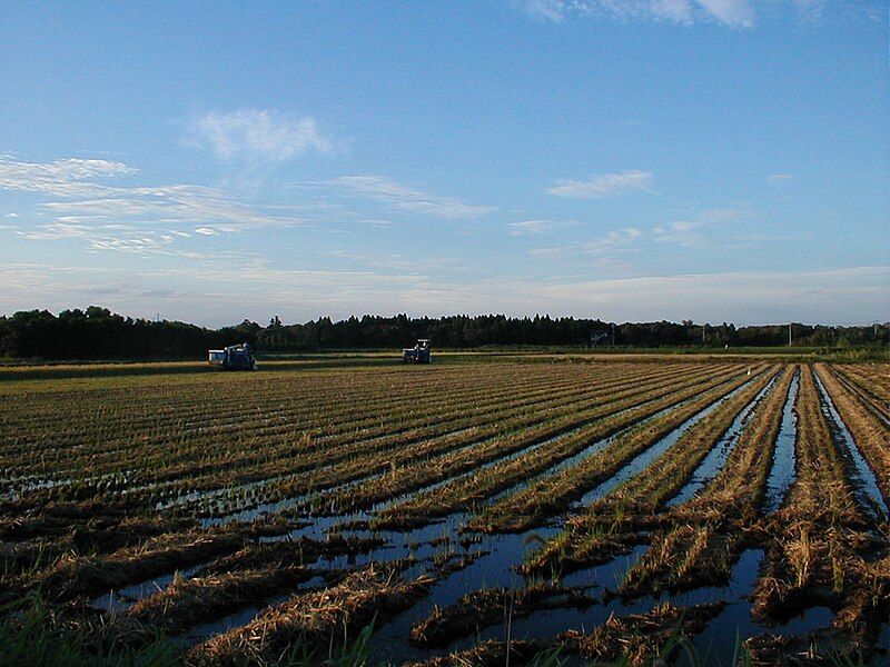 File:Kujukuri Agriculture.jpg