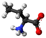 Ball-and-stick model of the α-aminobutanoic acid molecule as a zwitterion