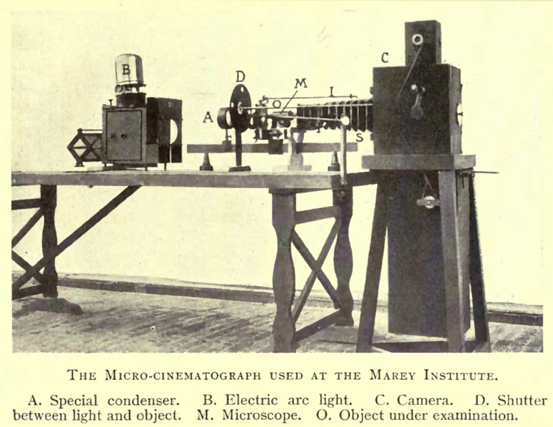 File:Marey's micro-cinematograph.png