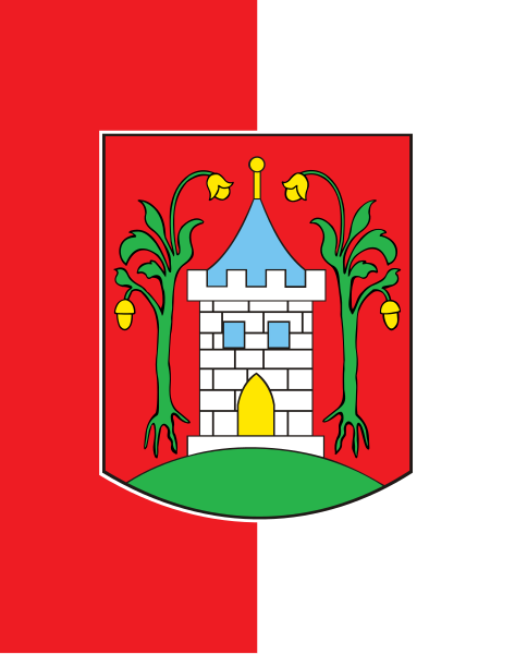 File:POL Śmigiel flag.svg