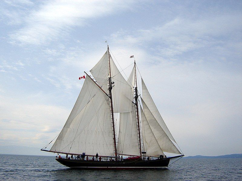 File:Pacific Grace 1.JPG