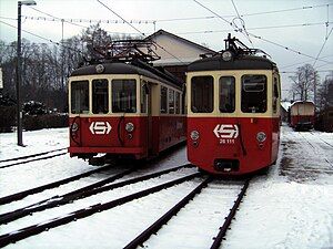 EMUs in Attersee