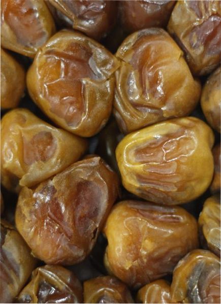 File:Sukkary date.jpg