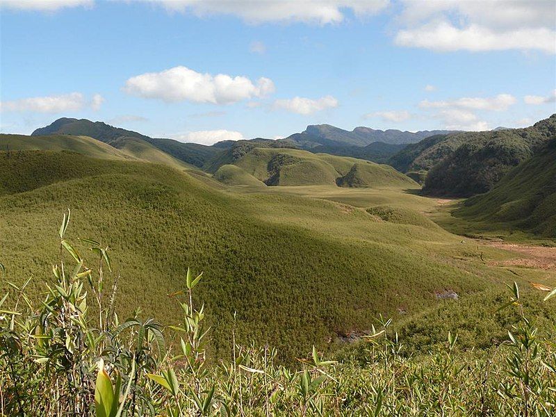 File:The Dzukou Valley.JPG