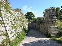 Walls of Troy