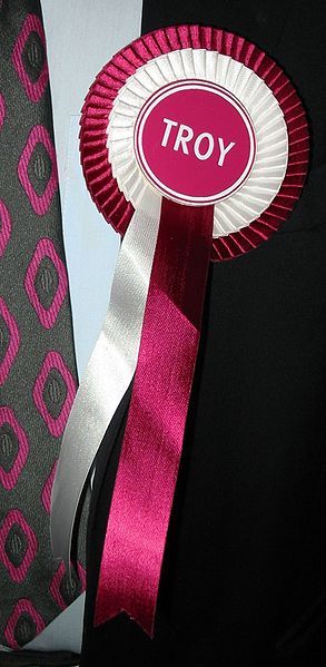 File:Troy rosette 2008.jpg