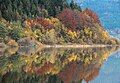 Lake Cerknica in the autumn