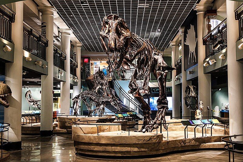 File:Dinosaur Hall.jpg