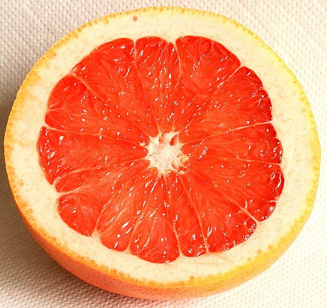 File:Grapefruit Schnitt 2008-3-3.JPG