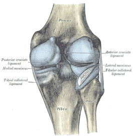 Posterior aspect of right knee