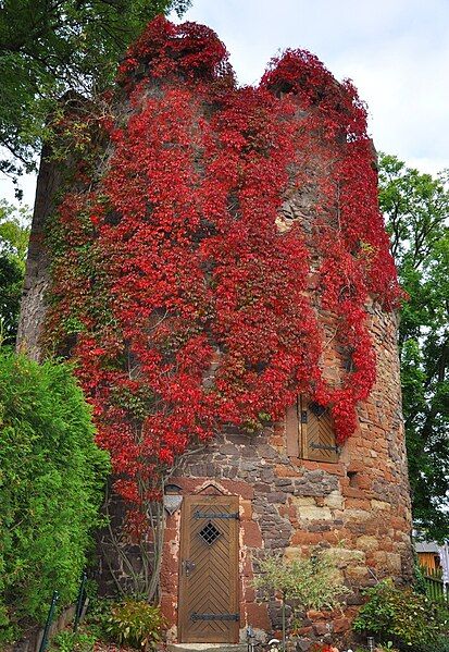 File:Hexenturm Frankenberg.JPG