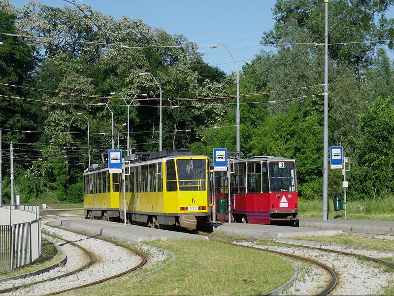 File:Las arkonski szczecin.JPG