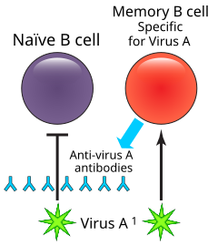 File:Original antigenic sin.svg