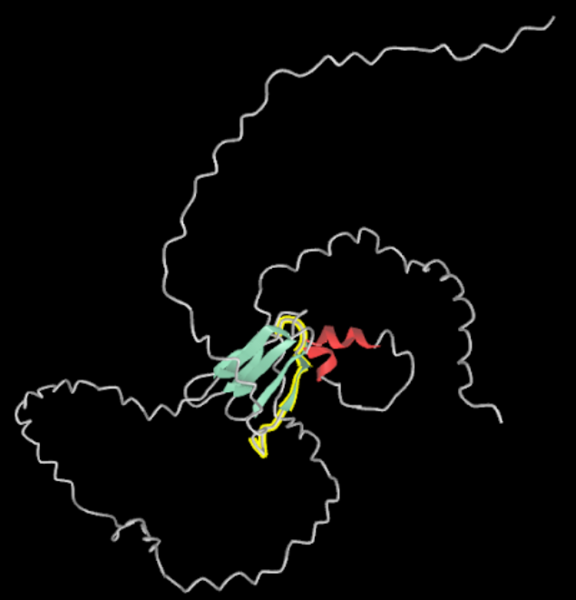 File:PRR23A Protein Structure.png