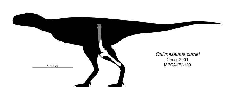 File:Quilmesaurus Skeletal.svg