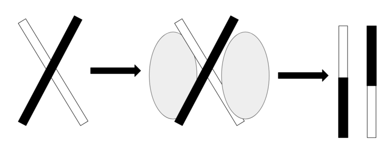 File:Resolvase function.png