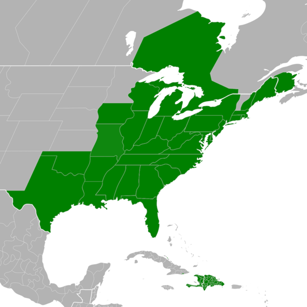 File:Symphyotrichum dumosum distribution.png