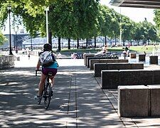 Riding in the park