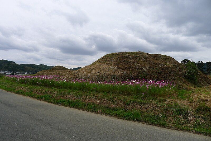 File:新原・奴山古墳群34～36号墳.JPG