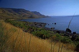 A lake surrounded by grasses