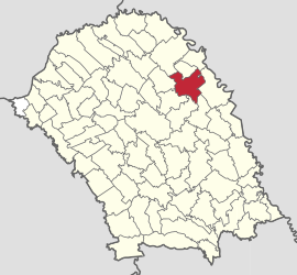 Location in Botoșani County