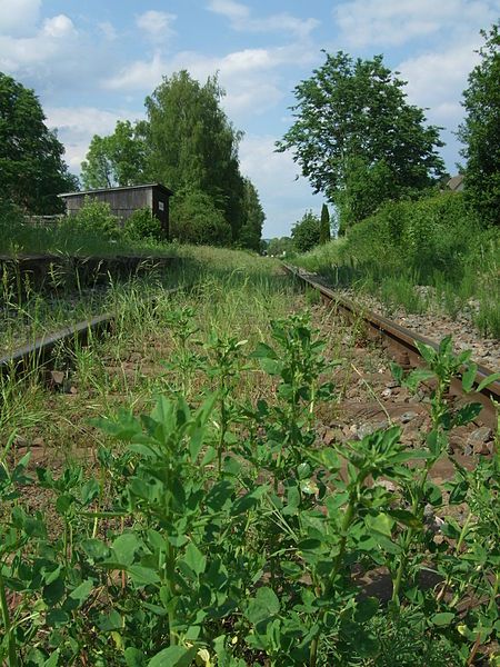 File:Bahnhof Amöneburg 2.JPG