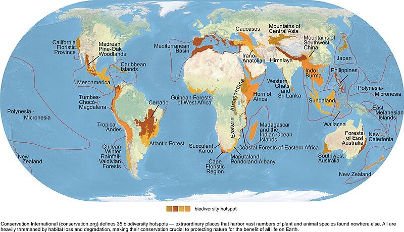 File:Biodiversity Hotspots Map.jpg