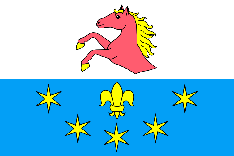 File:Brňany LT flag.svg