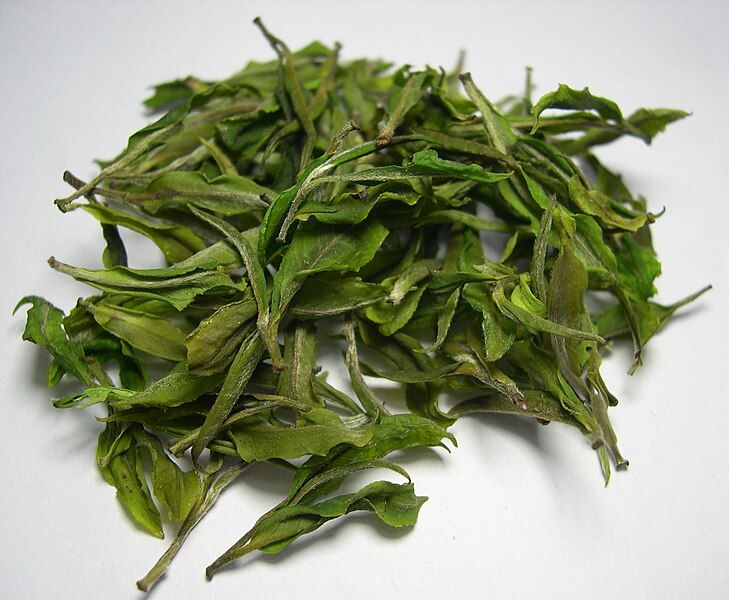 File:Darjeeling White Tea.jpg