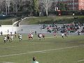 A phase of a rugby union match between Spain and Portugal.