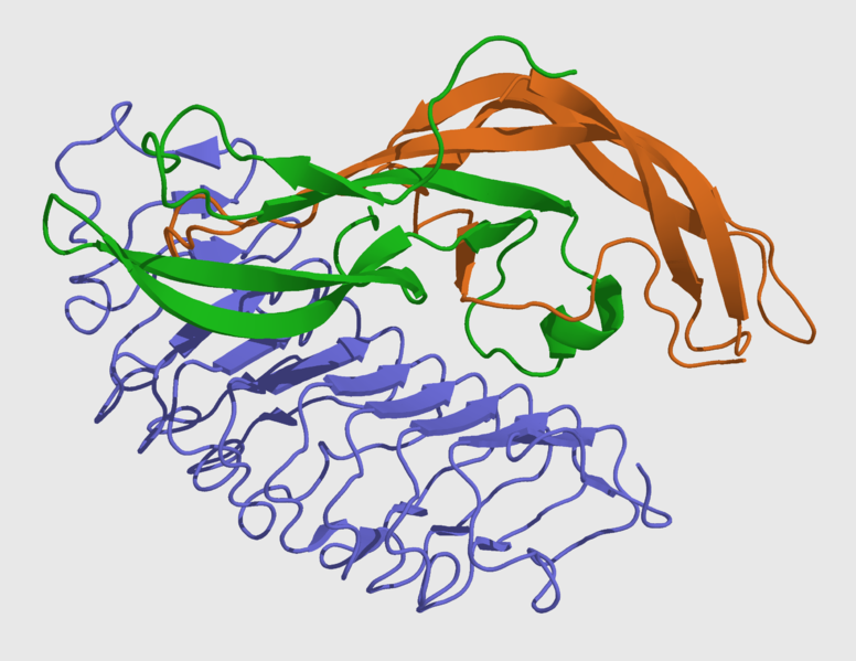 File:FSHA+B+receptor 1XWD.png