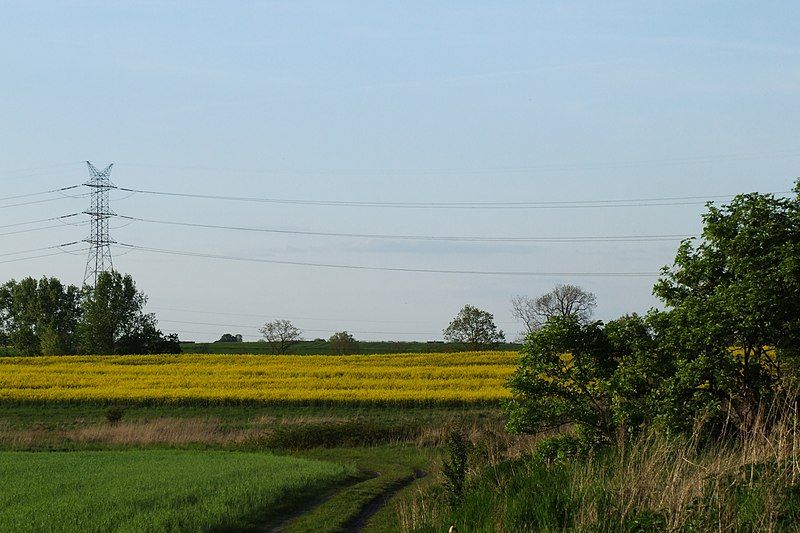 File:Fields near Comprachtschütz.JPG