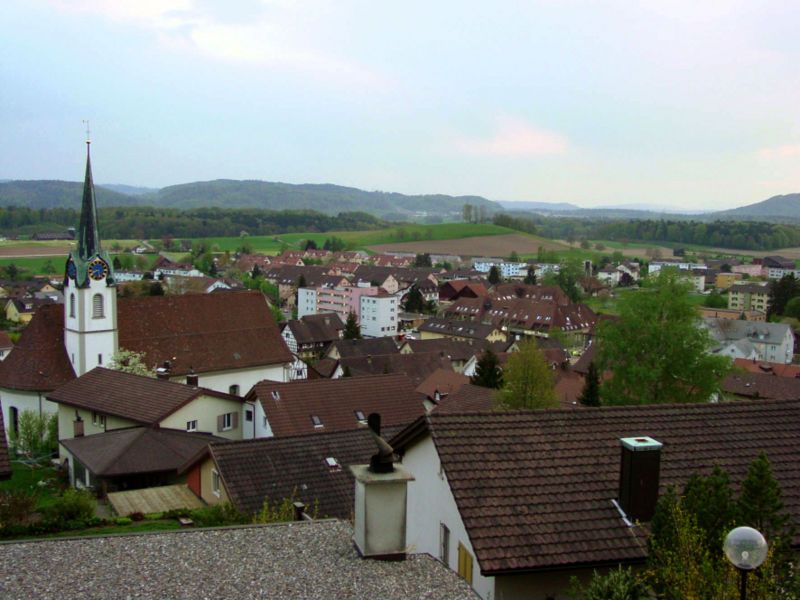 File:Fislisbach Buech.jpg