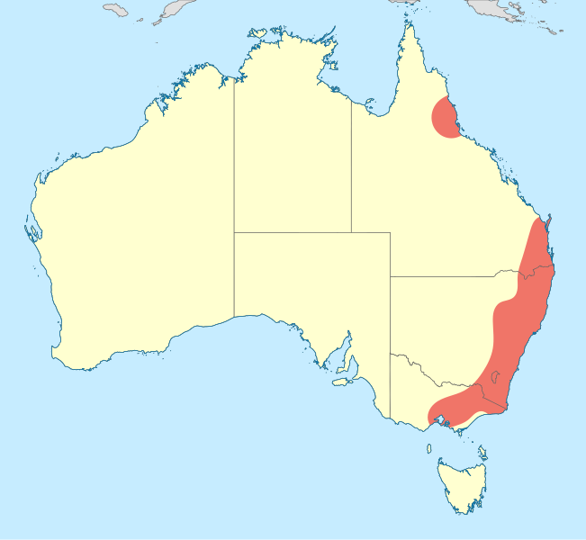 File:Griseargiolestes distribution map.svg