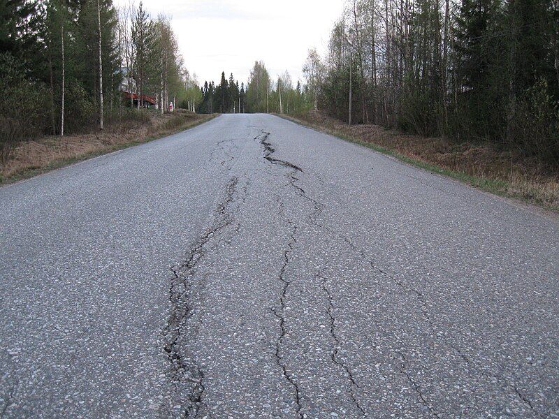 File:Ground frost damages.JPG