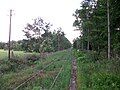 Trünzig halt, platform (2016)