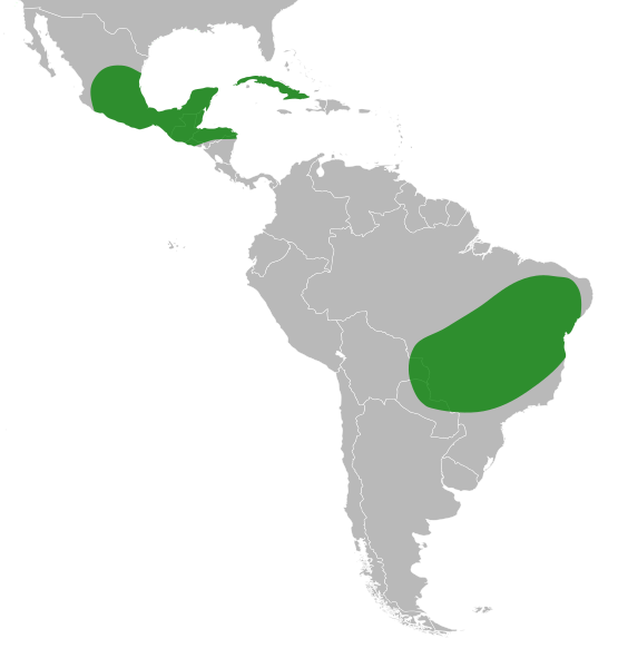 File:Harpalyce Distribution Map.svg