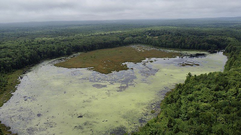 File:Knights pond.jpg