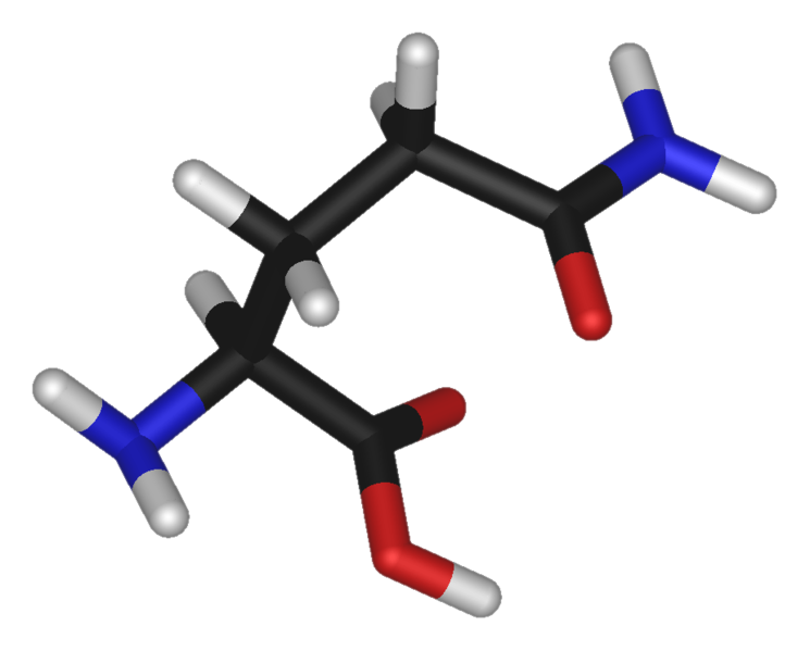 File:L-glutamine-3D-sticks.png